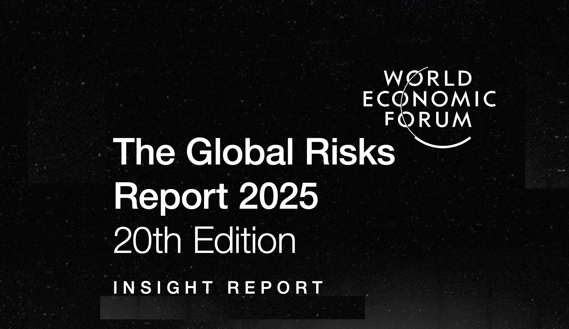 Global Risks Report 2025