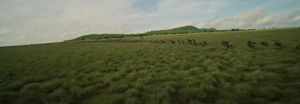 Tanzania: un volo cinematografico tra sogno e meraviglia